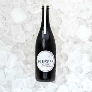 Elusees mullijook "Mango-passion"